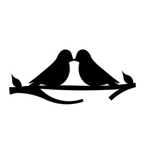 ציפורים מתנשקות